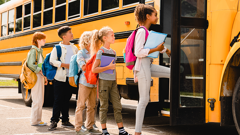 School buses and transportation services